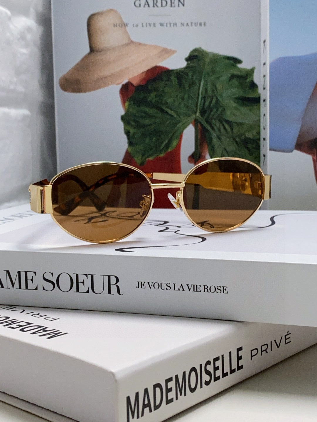Celine Cat-Eye Brown Lens Sunglasses for Men & Women - 449282