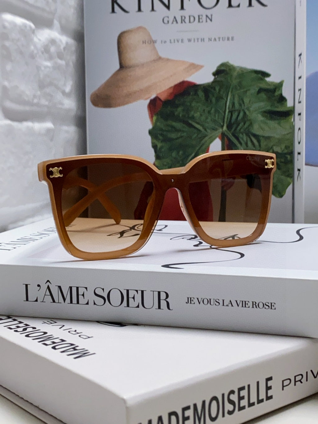 Celine Fashion Brown Lens Sunglasses for Men & Women - 486939