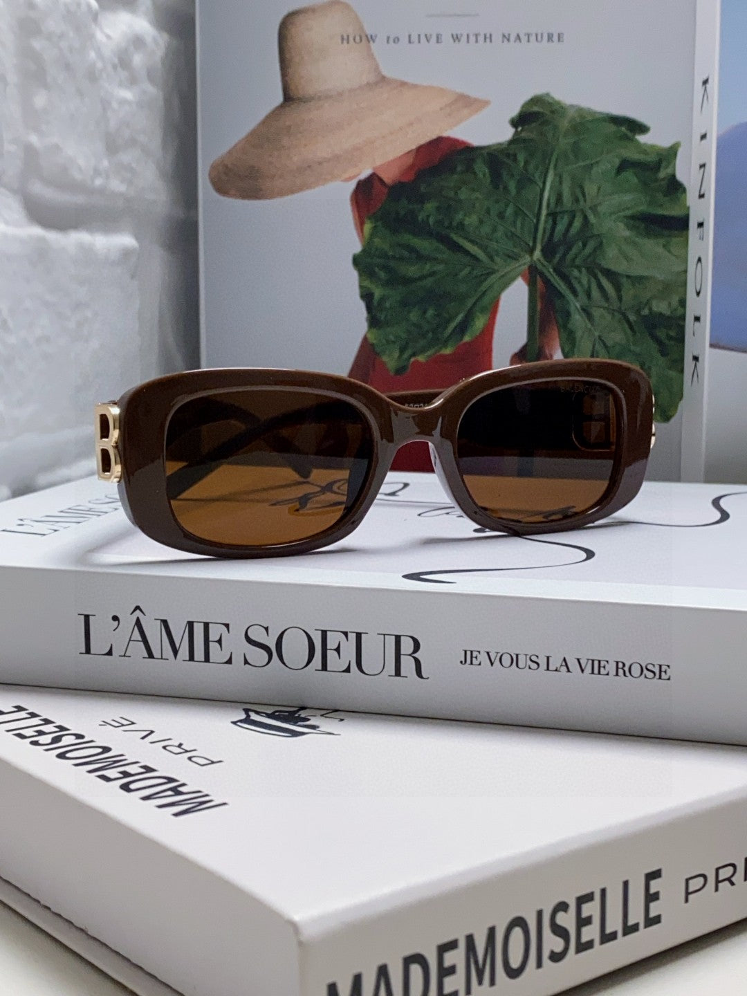 Balenciaga BB0310SK Slim Brown Lens Sunglasses for Men & Women