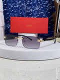 Cartier Metal Fashion Silver Lens Sunglasses for Men & Women - 465899