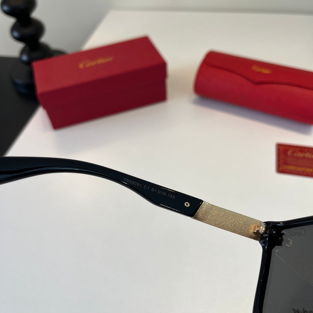 Cartier Lightweight Metal Rimless Black Lens Sunglasses for Men & Wom - 493711 - detail image 9