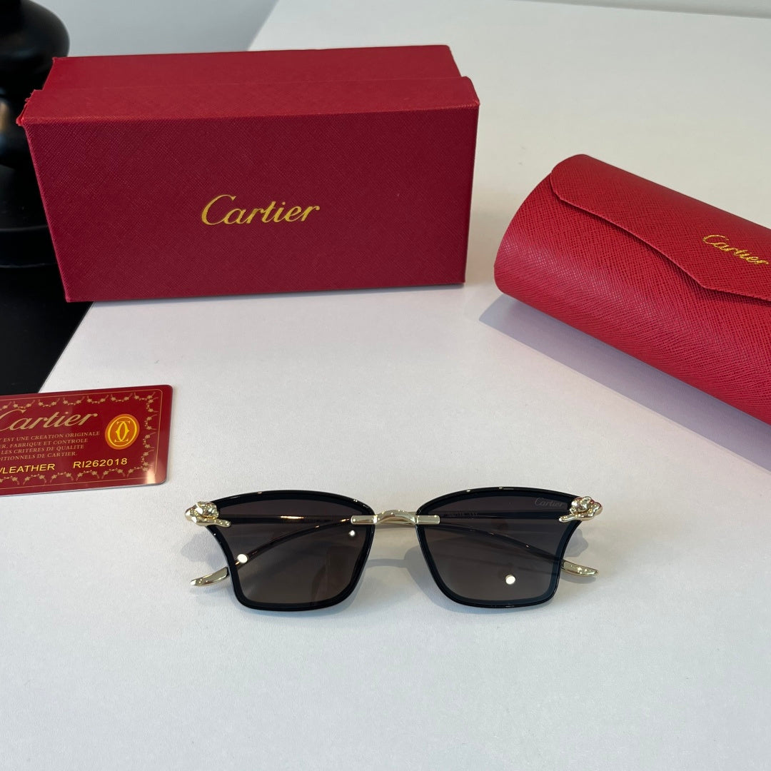 Cartier Lightweight Metal Rimless Silver Lens Sunglasses for Men & Wo - 415917 - detail image 4