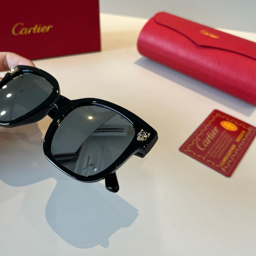 Cartier Lightweight Metal Rimless Black Lens Sunglasses for Men & Wom - 432205 - detail image 6