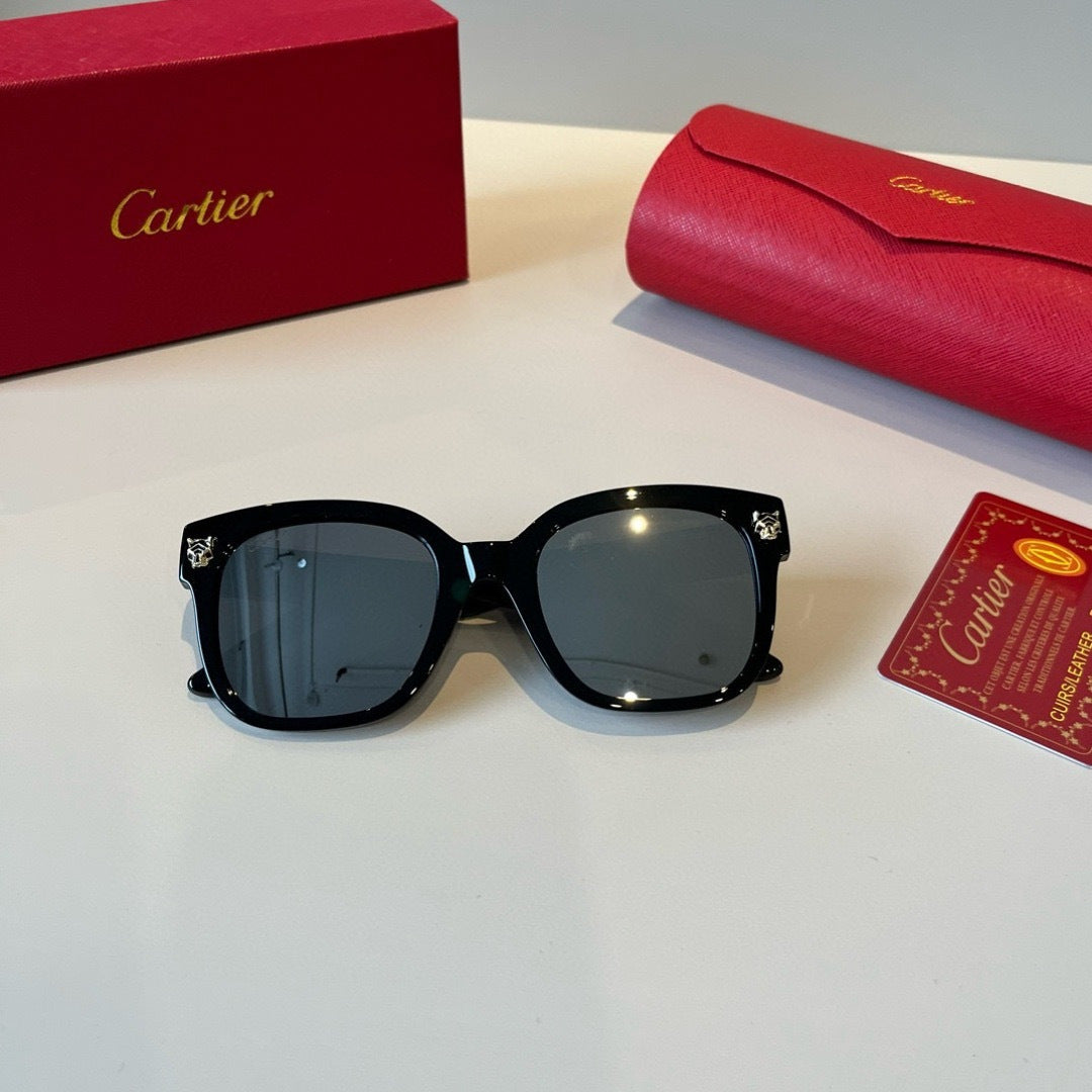 Cartier Lightweight Metal Rimless Black Lens Sunglasses for Men & Wom - 432205 - detail image 4