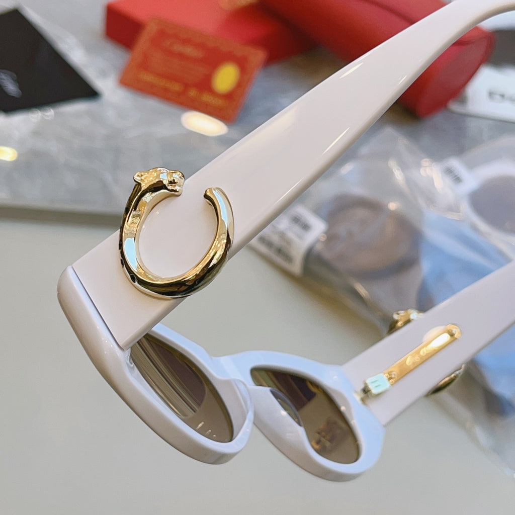 Cartier CT0472S Fashion Red Lens Sunglasses for Men & Women - detail image 9