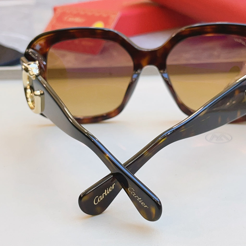 Cartier CT0471S Fashion Black Lens Sunglasses for Men & Women - detail image 8