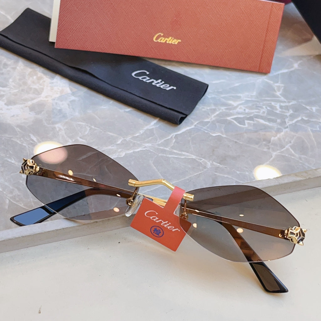 Cartier CT0433S Fashion Red Lens Sunglasses for Men & Women - 415939 - detail image 3