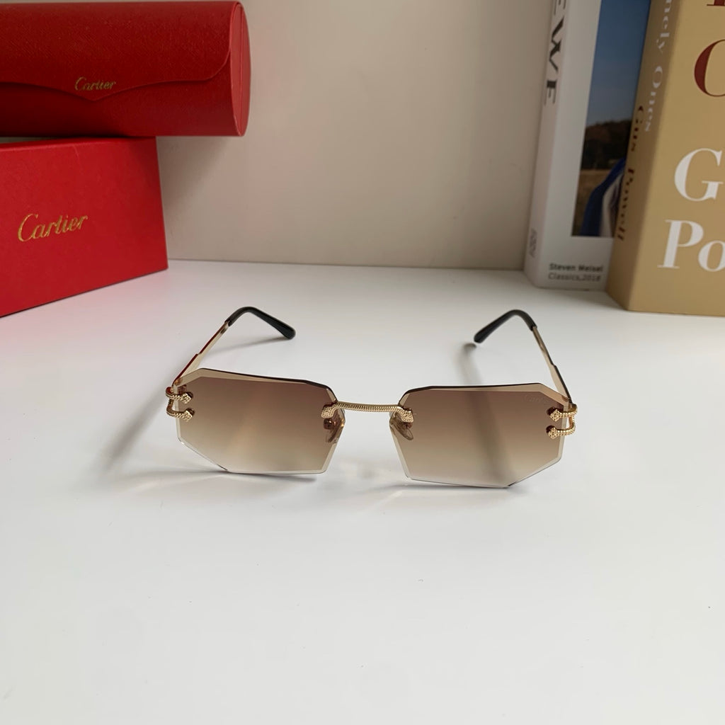 Cartier Fashion Brown Lens Sunglasses for Men & Women - 432271 - detail image 3
